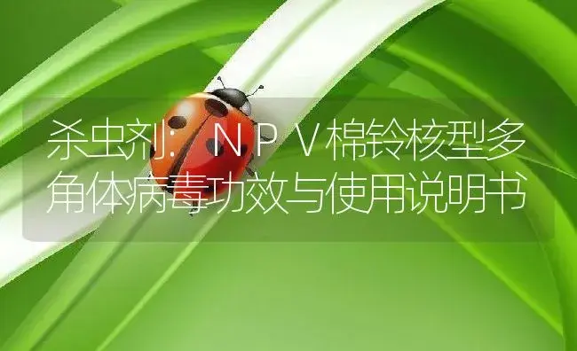 杀虫剂：ＮＰＶ棉铃核型多角体病毒 | 适用防治对象及农作物使用方法说明书 | 植物农药