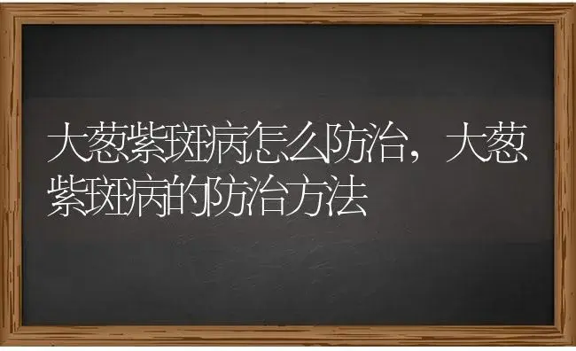 大葱紫斑病怎么防治，大葱紫斑病的防治方法 | 蔬菜种植