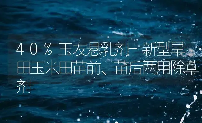 40%玉友悬乳剂-新型旱田玉米田苗前、苗后两用除草剂 | 植物病虫害