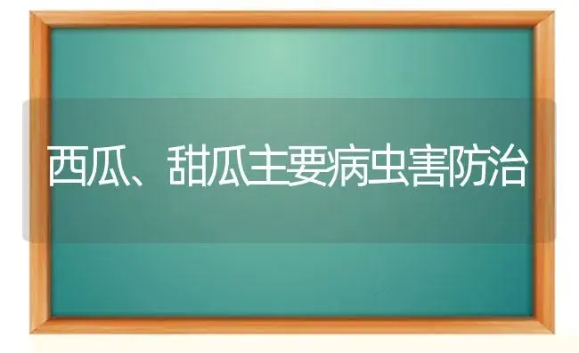 西瓜、甜瓜主要病虫害防治 | 植物病虫害