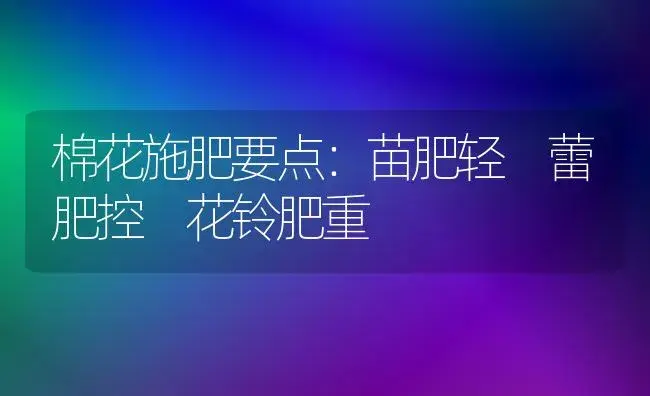 棉花施肥要点：苗肥轻 蕾肥控 花铃肥重 | 植物肥料