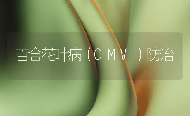 百合花叶病（CMV）防治 | 植物病虫害