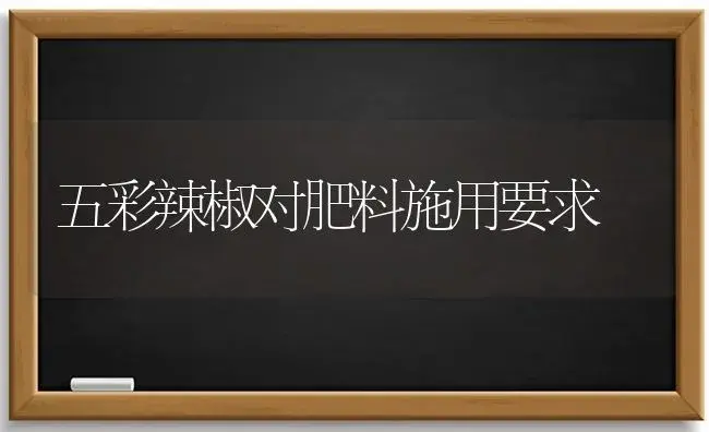 五彩辣椒对肥料施用要求 | 植物肥料