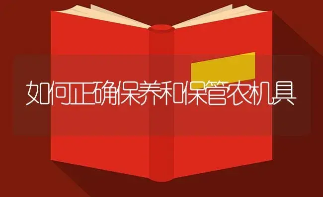 插秧机田间作业的三种方案 | 农资农机