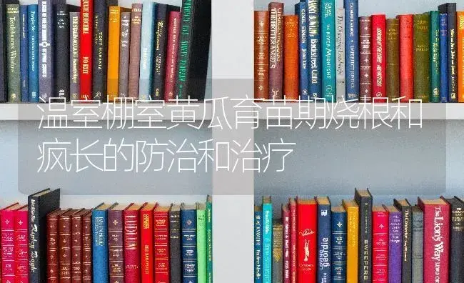 温室棚室黄瓜育苗期烧根和疯长的防治和治疗 | 蔬菜种植