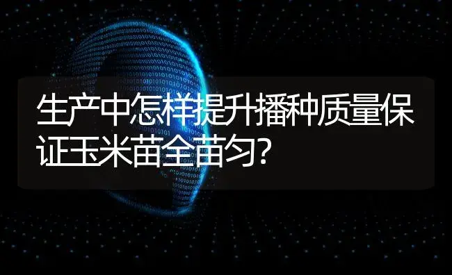 生产中怎样提升播种质量保证玉米苗全苗匀？ | 蔬菜种植