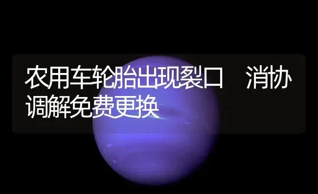 农用车轮胎出现裂口　消协调解免费更换 | 农资农机