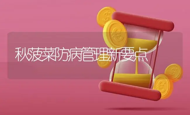 秋菠菜防病管理新要点 | 蔬菜种植
