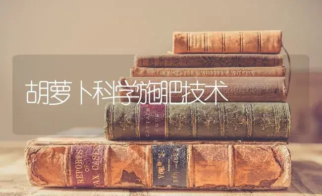 番茄溃疡病高发怎么办？ | 蔬菜种植