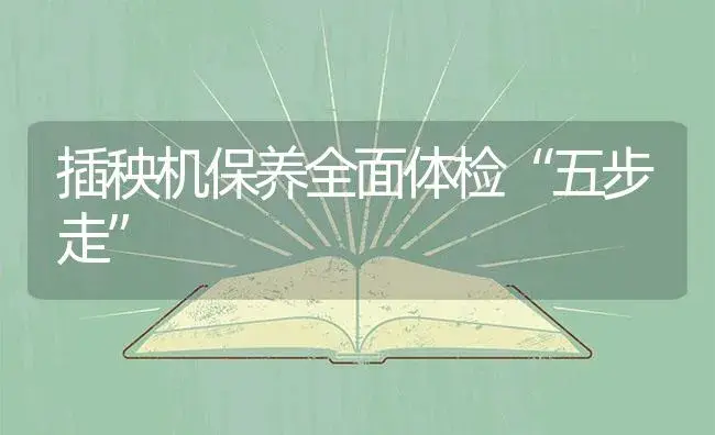 插秧机保养全面体检“五步走” | 农资农机