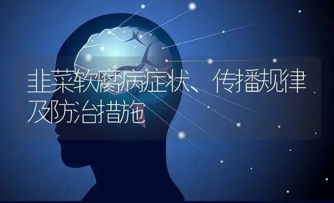 韭菜软腐病症状、传播规律及防治措施 | 蔬菜种植