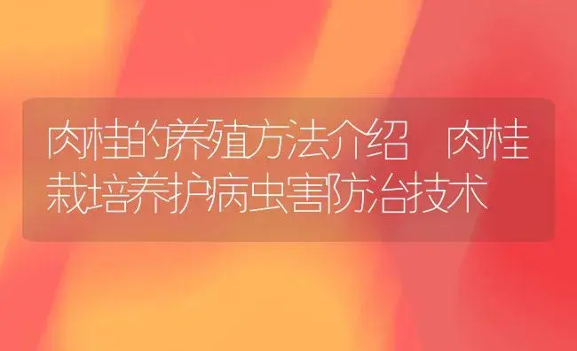 肉桂的养殖方法介绍 肉桂栽培养护病虫害防治技术 | 植物病虫害