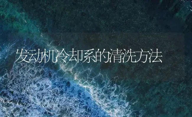 发动机冷却系的清洗方法 | 农资农机