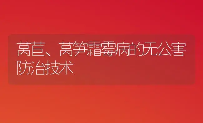 莴苣、莴笋霜霉病的无公害防治技术 | 植物病虫害