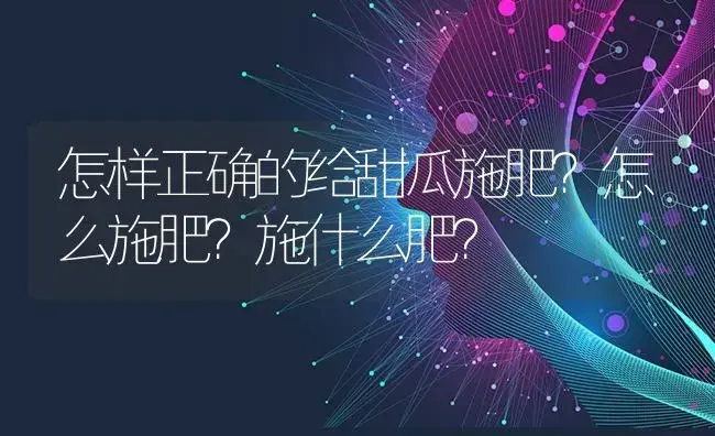 怎样正确的给甜瓜施肥？怎么施肥？施什么肥？ | 蔬菜种植