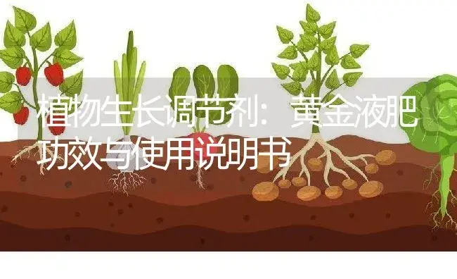 植物生长调节剂：黄金液肥 | 适用防治对象及农作物使用方法说明书 | 植物农药