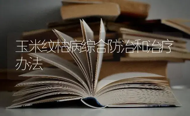 玉米纹枯病综合防治和治疗办法 | 蔬菜种植