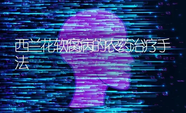 西兰花软腐病的农药治疗手法 | 蔬菜种植