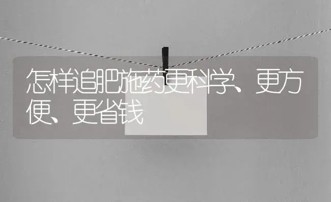 怎样追肥施药更科学、更方便、更省钱 | 植物肥料