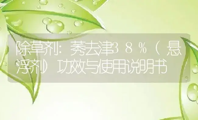 除草剂：莠去津38%(悬浮剂) | 适用防治对象及农作物使用方法说明书 | 植物农药