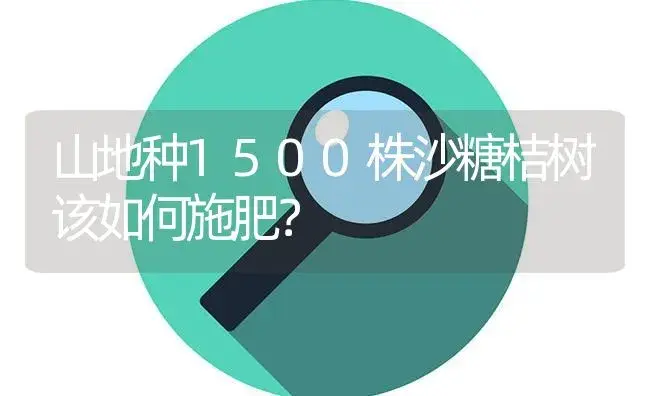 山地种1500株沙糖桔树该如何施肥？ | 植物肥料