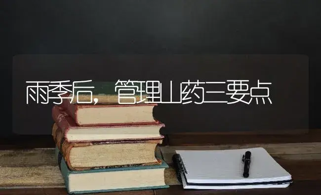 雨季后，管理山药三要点 | 蔬菜种植