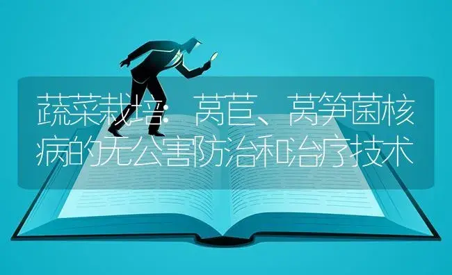 蔬菜栽培:莴苣、莴笋菌核病的无公害防治和治疗技术 | 蔬菜种植