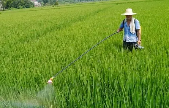 这些打农药的手法，你知道吗？