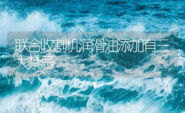 联合收割机润滑油添加有三大禁忌 | 农资农机