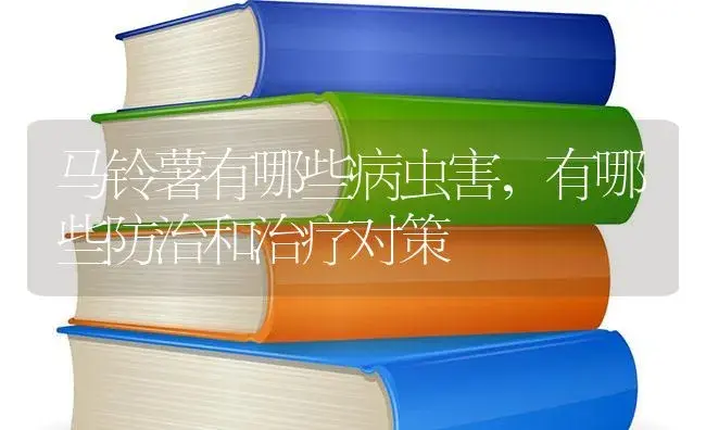 马铃薯有哪些病虫害，有哪些防治和治疗对策 | 蔬菜种植