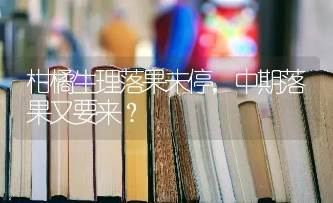 柑橘生理落果未停，中期落果又要来？ | 蔬菜种植