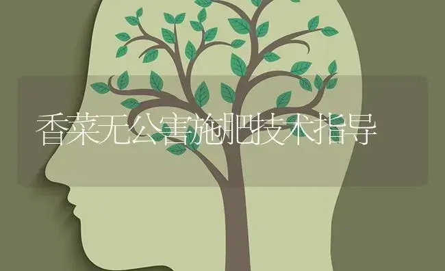 香菜无公害施肥技术指导 | 蔬菜种植