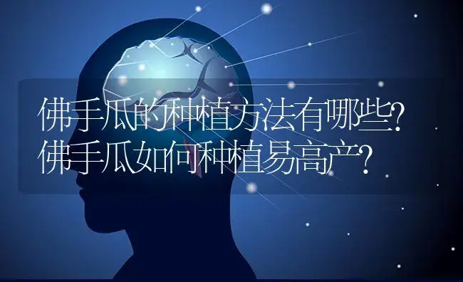 佛手瓜的种植方法有哪些？佛手瓜如何种植易高产？ | 蔬菜种植