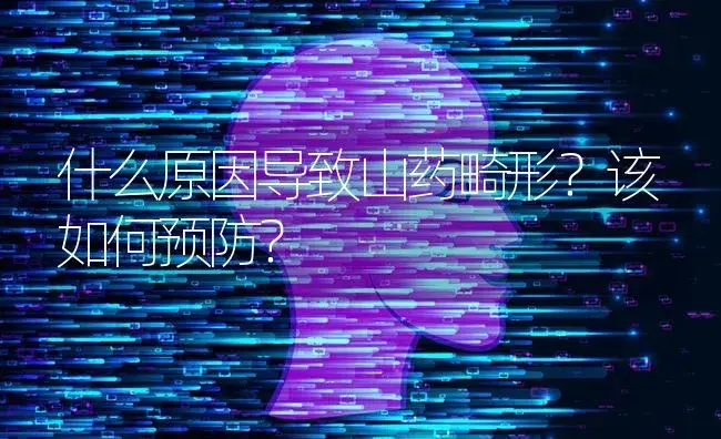 什么原因导致山药畸形？该如何预防？ | 蔬菜种植