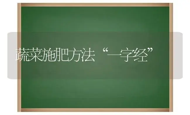 蔬菜施肥方法“一字经” | 植物肥料