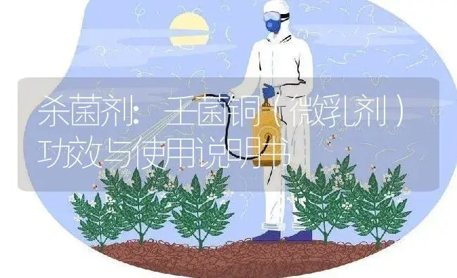 杀菌剂：壬菌铜（微乳剂） | 适用防治对象及农作物使用方法说明书 | 植物农药