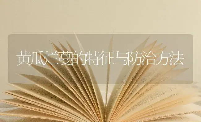 黄瓜烂蔓的特征与防治方法 | 蔬菜种植