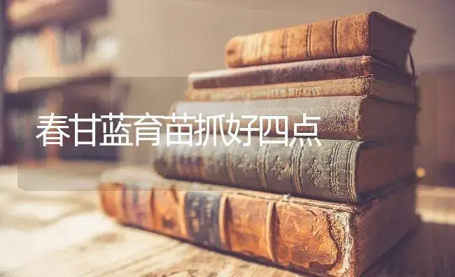 春甘蓝育苗抓好四点 | 蔬菜种植