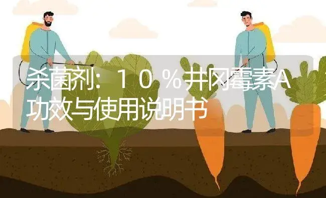 杀菌剂：10%井冈霉素A | 适用防治对象及农作物使用方法说明书 | 植物农药