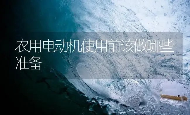 农用电动机使用前该做哪些准备 | 农资农机