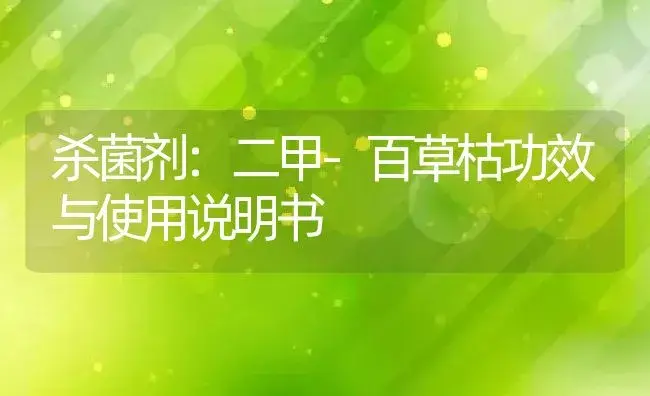 杀菌剂：二甲-百草枯 | 适用防治对象及农作物使用方法说明书 | 植物农药