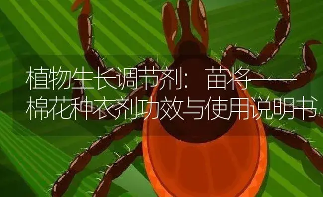 植物生长调节剂：苗将——棉花种衣剂 | 适用防治对象及农作物使用方法说明书 | 植物农药