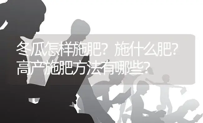 冬瓜怎样施肥？施什么肥？高产施肥方法有哪些？ | 蔬菜种植