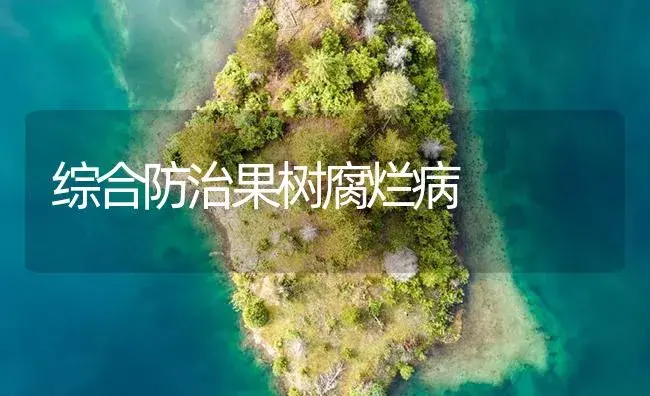 综合防治果树腐烂病 | 植物病虫害