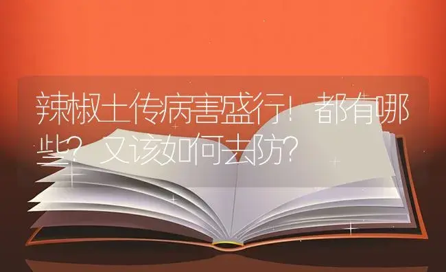 辣椒土传病害盛行！都有哪些？又该如何去防？ | 蔬菜种植