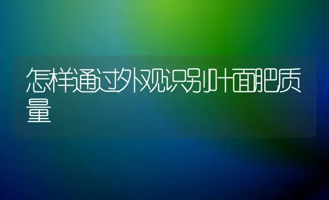 怎样通过外观识别叶面肥质量 | 植物肥料