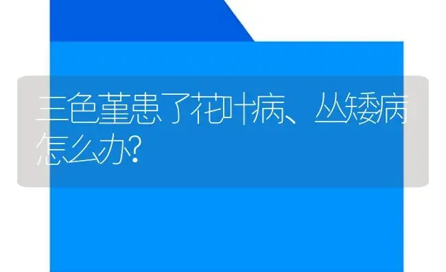 三色堇患了花叶病、丛矮病怎么办? | 植物病虫害