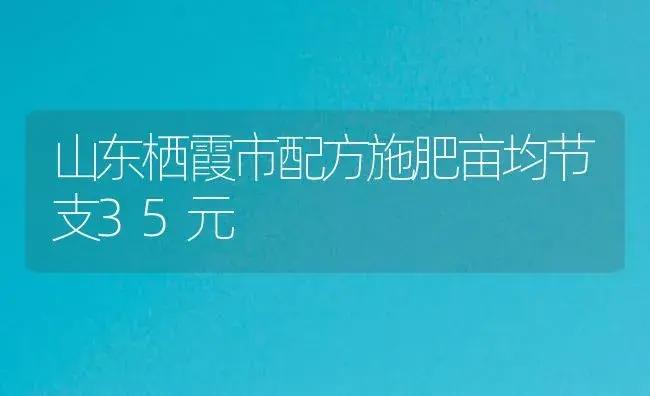 山东栖霞市配方施肥亩均节支35元 | 植物肥料