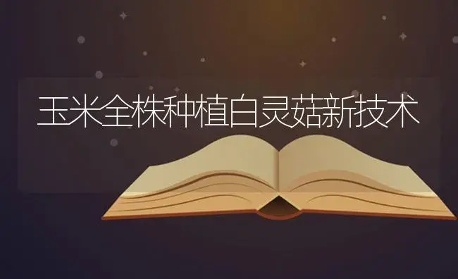 茄子白粉病怎么防治？茄子白粉病的防治方法 | 蔬菜种植