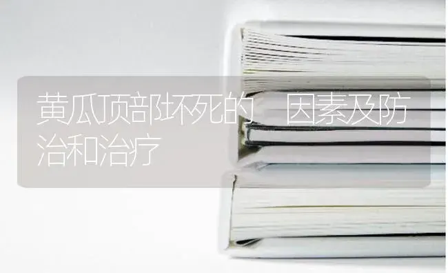 黄瓜顶部坏死的 因素及防治和治疗 | 蔬菜种植